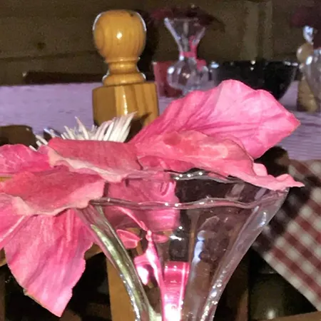 Couette-café Chalet Cergnat 3*